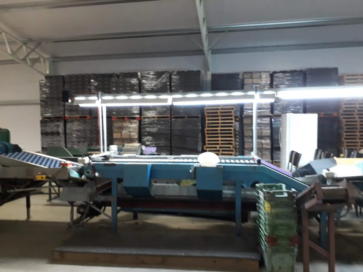 Installed conveyor system in a production facility