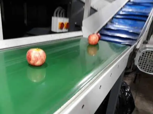 Apples moving on a green conveyor belt