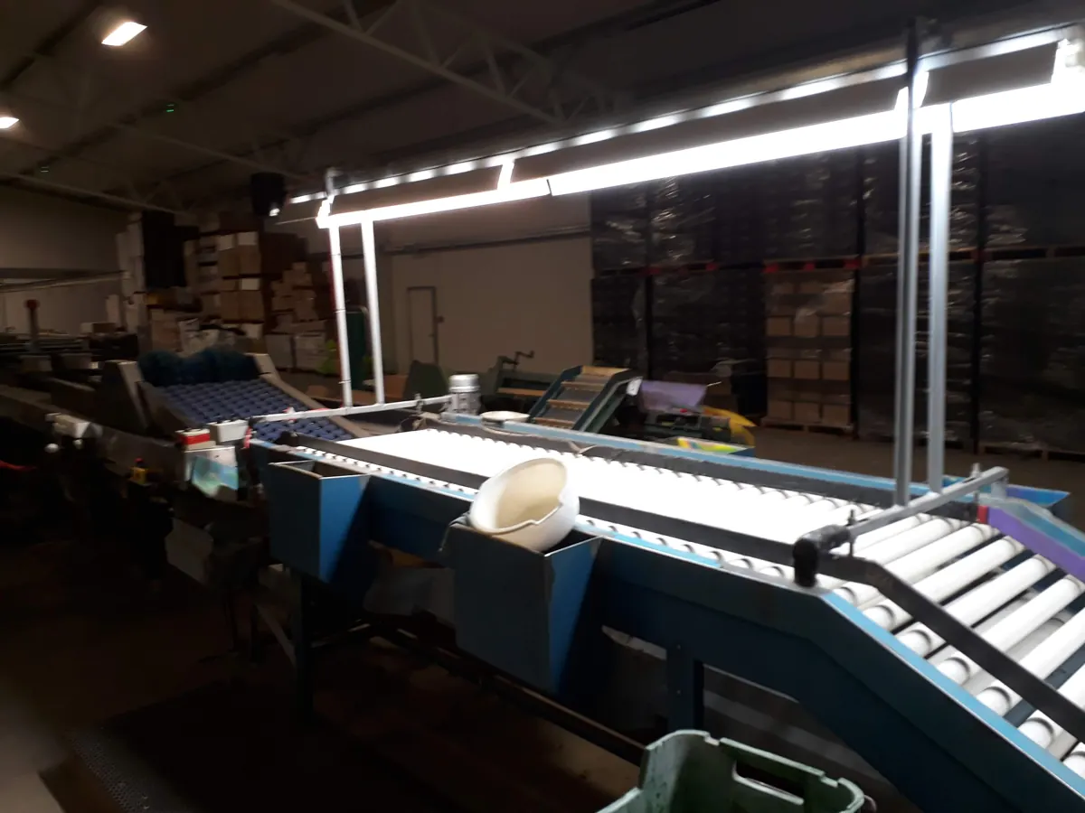 Production conveyor line prepared for flow improvements